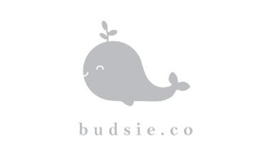 Loker Accounting/Keuangan - Interior Designer di CV. Budsie Furniture Indonesia